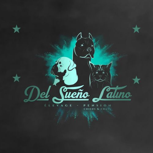 Dogues argentins del sueño latino