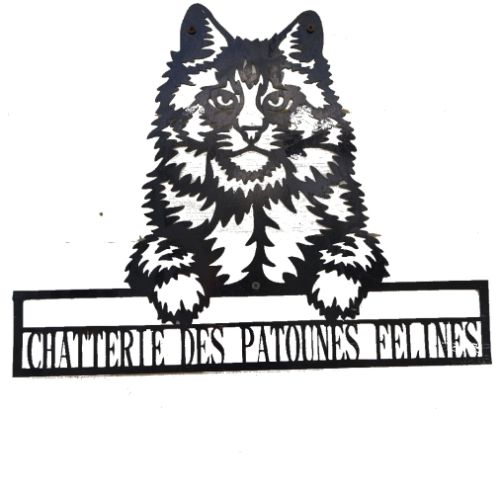 Des patounes félines