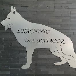 Berger allemand a poils court et long