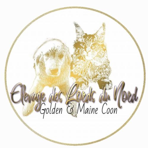 Élevage des lords du nord