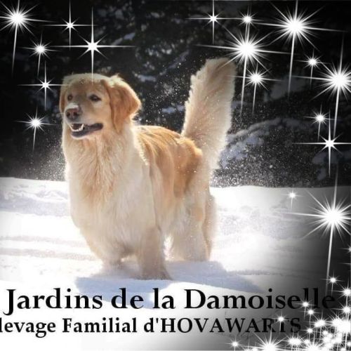 Des jardins de la damoiselle