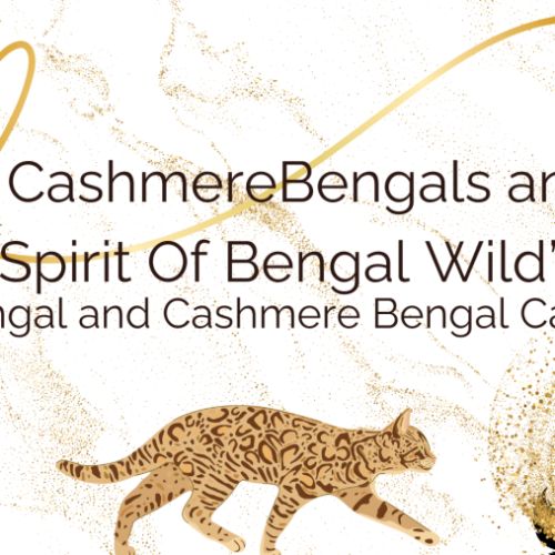 Elevage professionnel  à dimension familiale