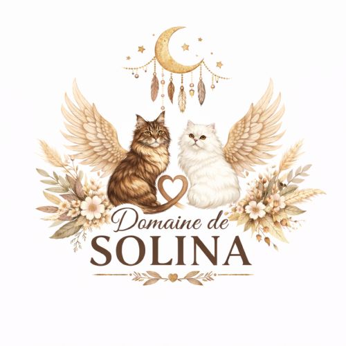 Elevage du domaine de solina