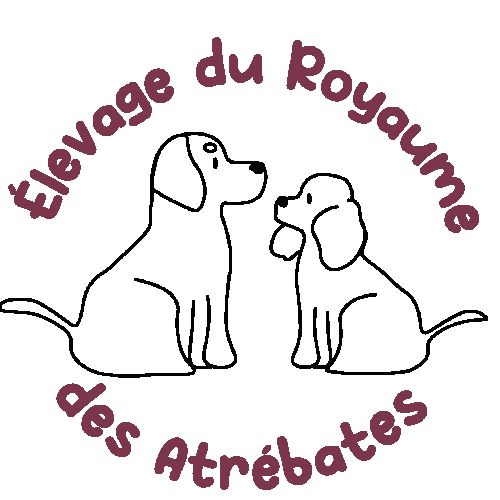 Elevage du royaume des atrébates