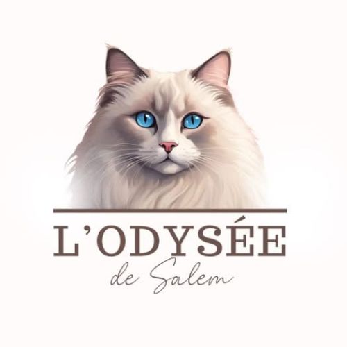 Ragdolls de l'odyssée de salem