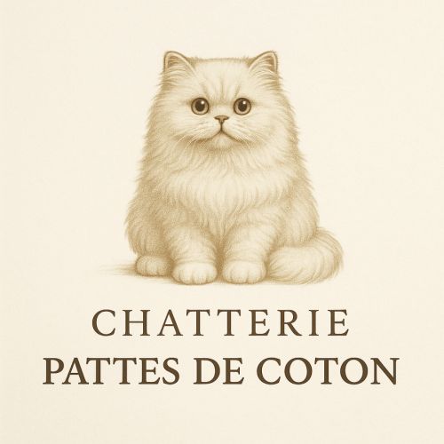Chatterie pattes de coton
