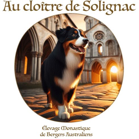 Au cloître de solignac
