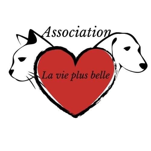 Association la vie plus belle