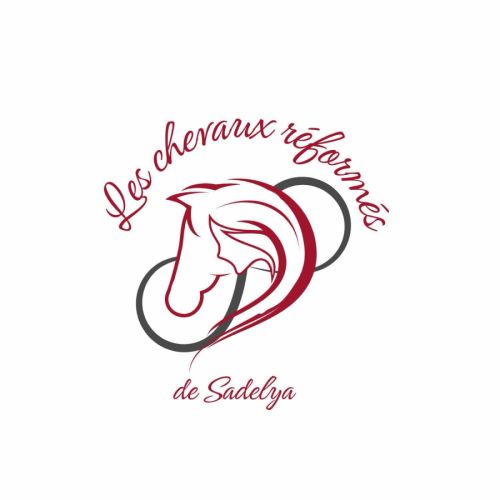 Les chevaux reformes de sadelya