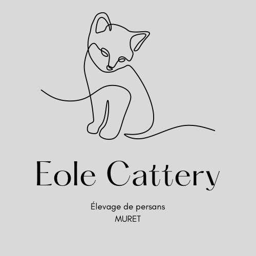 Eole cattery
