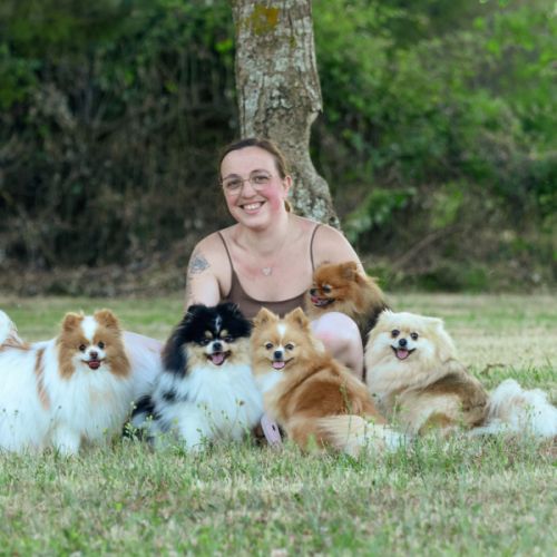 La meute du petit breuil