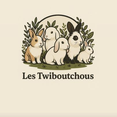 Les twiboutchous
