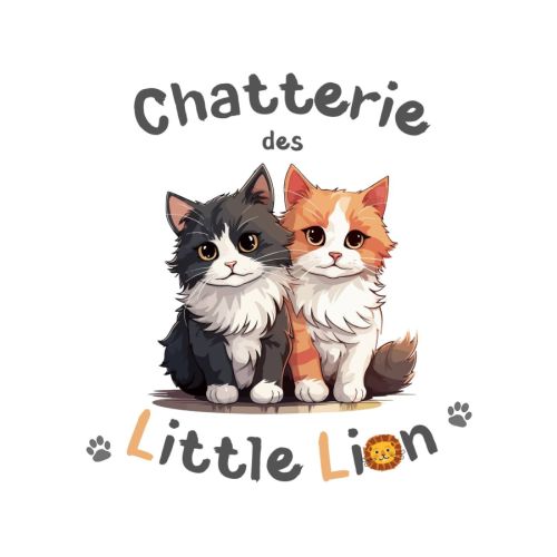 Bienvenue chez littlelion !
