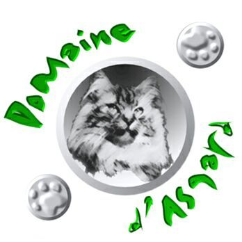 Chatterie du domaine d'asgard