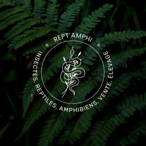Rept’amphi - élevage de reptiles et d’amphibiens