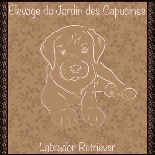 Elevage familial du jardin des capucines