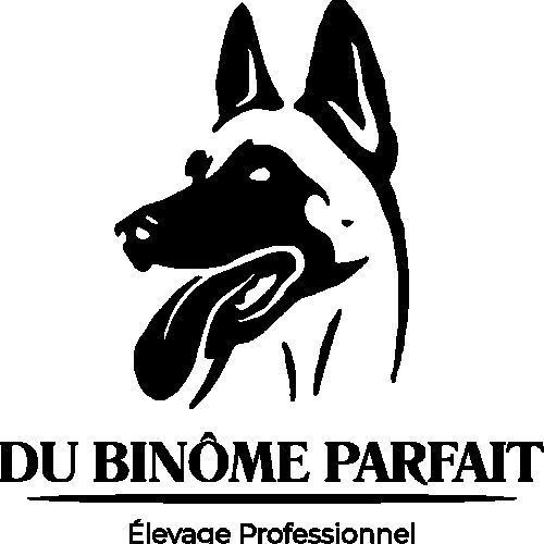 Élevage professionnel familial de malinois lof