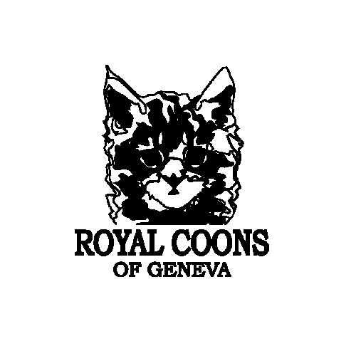 Royal coons