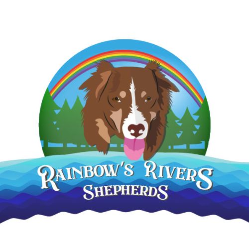 Bienvenue dans notre cocon