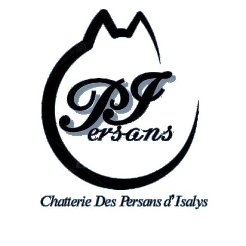 Elevage de persan colourpoint