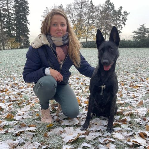 Sweet'm'dogs - éducateur comportementaliste canin