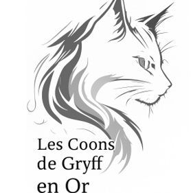 Les coons de gryff en or
