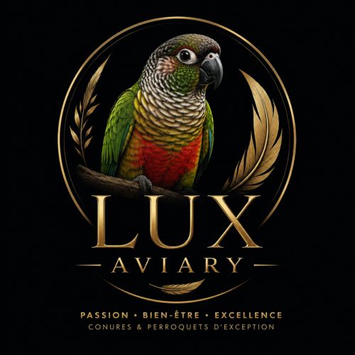 Lux aviary | élevage exotique rhône-alpes