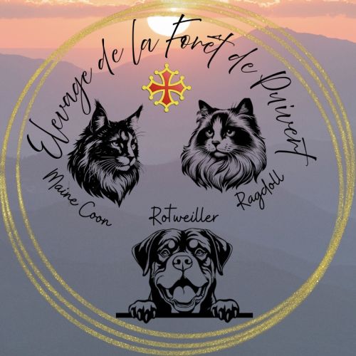 Elevage de la forêt de puivert