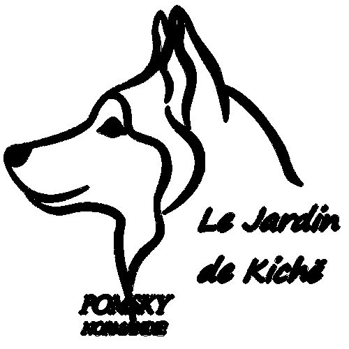 Pomsky normandie le jardin de kichë