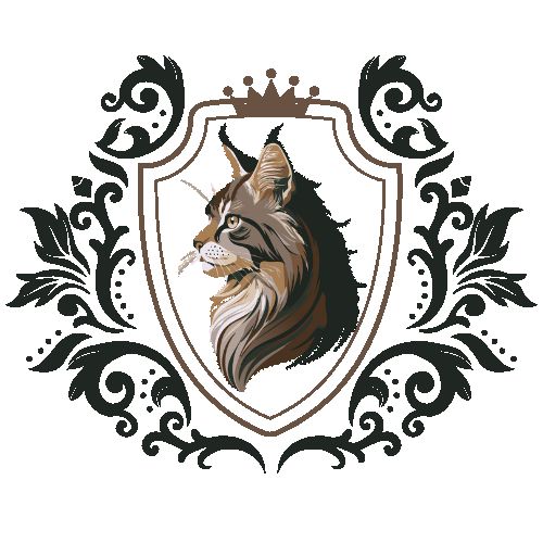 Chatterie epic claws – élevage de maine coon (66)