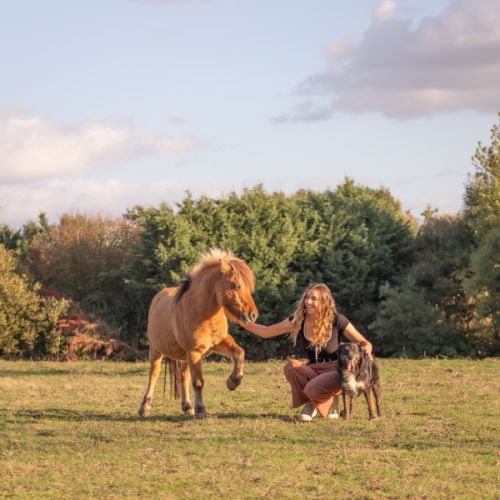 Comportementaliste animalier