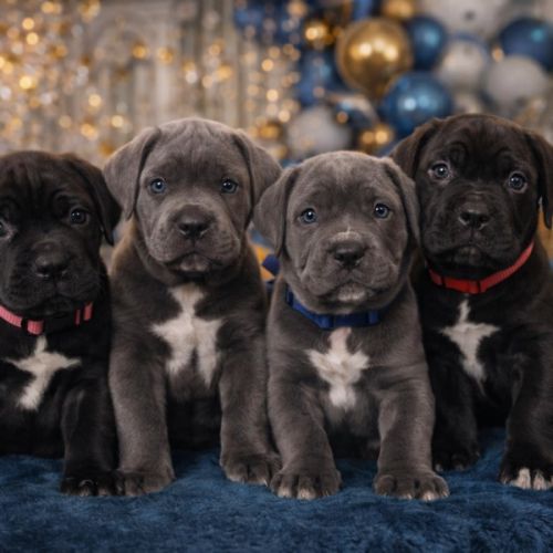 Élevage des gardiens de la plaine de versailles
