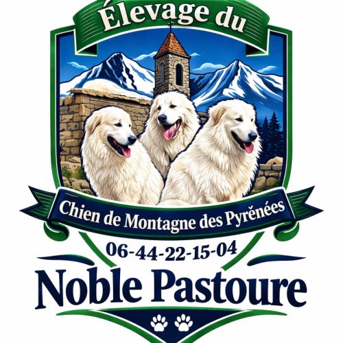 Elevage du noble pastoure