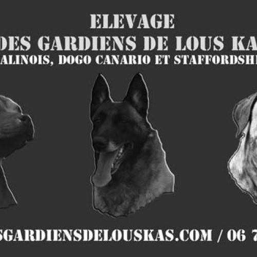 Eleveur : des Gardiens de Lous Kas