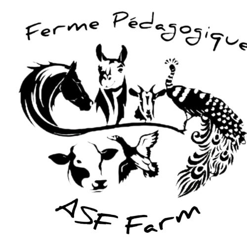Ferme pédagogique de la team asf