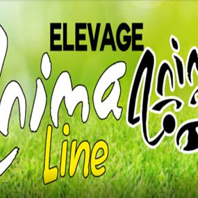 Anima-line élevage, toilettage, médiation animale