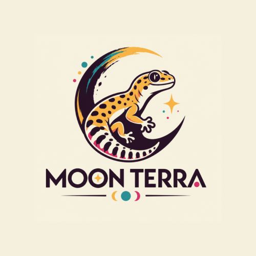 Moon gecko