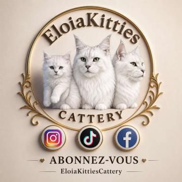 Eloiakittiescattery