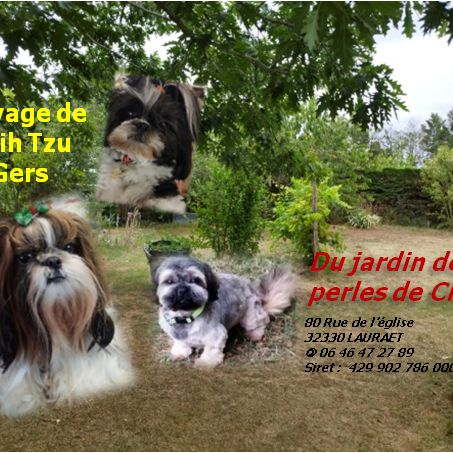 Le jardin des perles de cixi