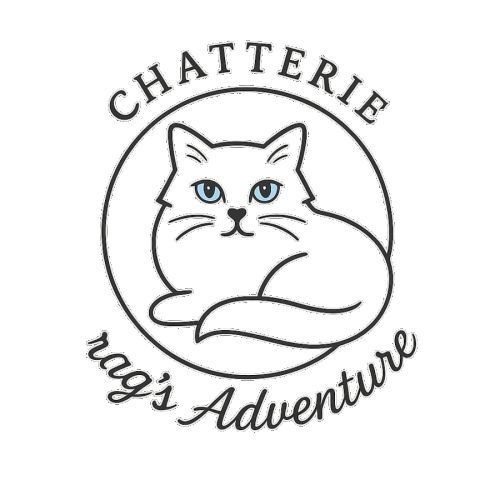 Chatterie des rag’s adventure - ragdoll loof