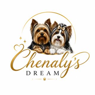 Elevage familial de yorkshire terrier et biewer