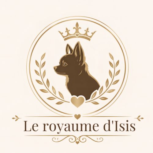 Le royaume d’isis 53