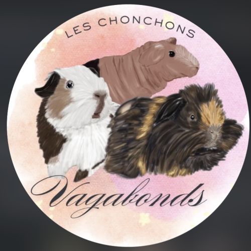 Les chonchons vagabonds