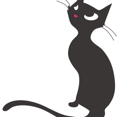 Les chatons des bords de drôme