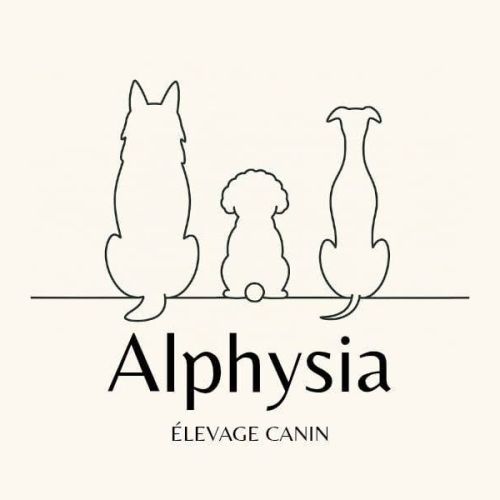 Elevage alphysia