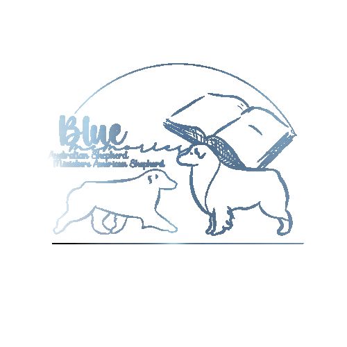 Elevage blue memories