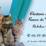 Chatterie de la ronce du maine