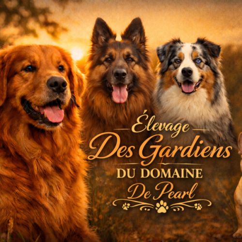 Élevage des gardiens du domaine de pearl