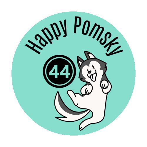 Elevage familial et pro happy pomsky 44