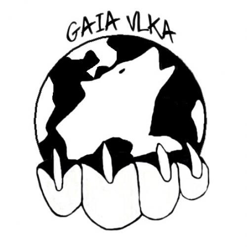 elevage : Chien Loup Tchecoslovaque Berger Belge